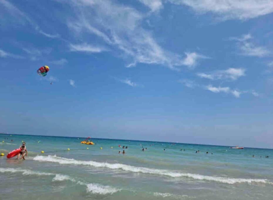 Charming & Spacious Apartment In Historic Centre & Short Walk To Beach Alicante Extérieur photo