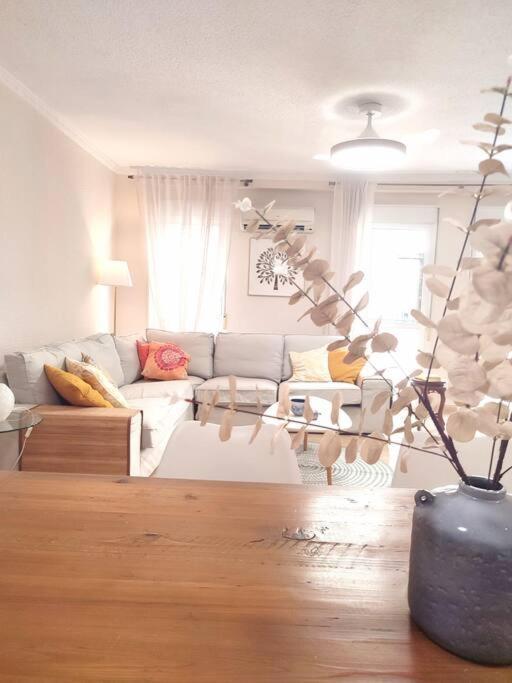 Charming & Spacious Apartment In Historic Centre & Short Walk To Beach Alicante Extérieur photo