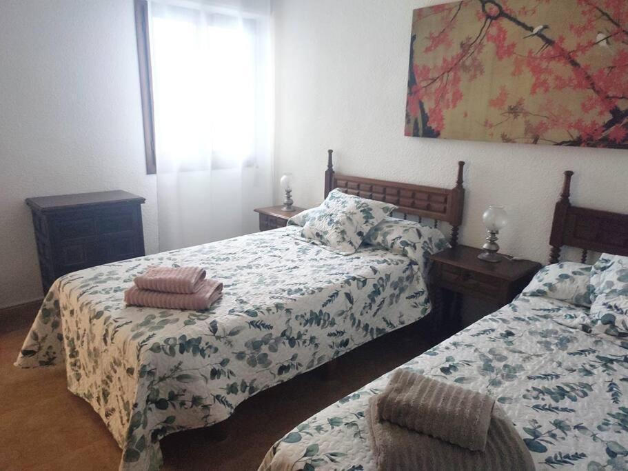 Charming & Spacious Apartment In Historic Centre & Short Walk To Beach Alicante Extérieur photo
